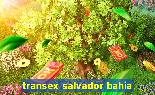 transex salvador bahia